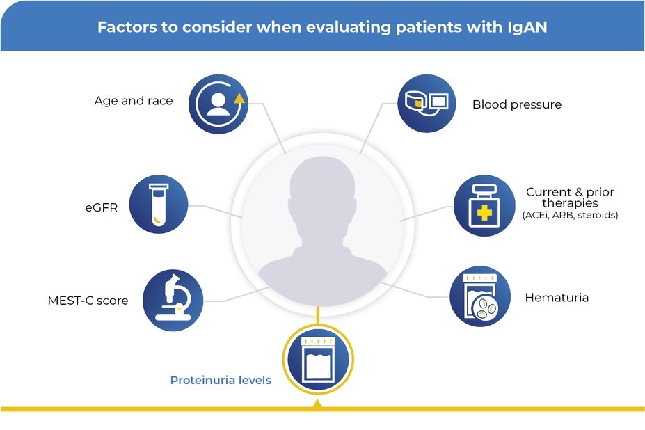 Factors to consider when evaluating patients with IgAN: Age and race, blood pressure, eGFR, current & prior therapies (ACEi, ARB, steroids), MEST-C score, Hematuria, Proteinuria levels.