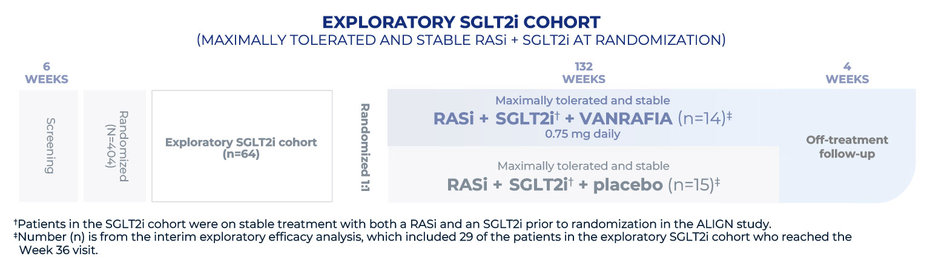 Maximally tolerated and stable RASi + SGLT2i at randomization.