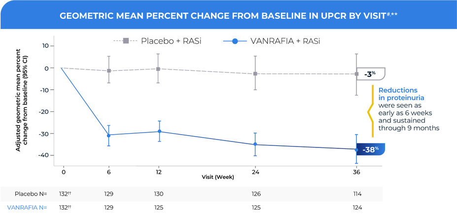 Reductions in proteinuria were seen as early as 6 weeks and sustained through 9 months.