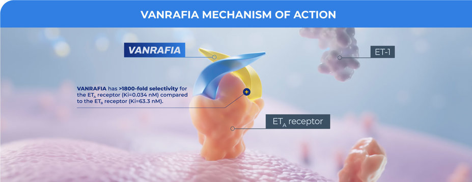  VANRAFIA mechanism of action. VANRAFIA is an ETA receptor antagonist.