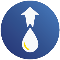 Proteinuria icon